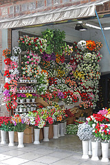 Image showing Plastic Flowers Florist