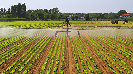 Image showing Water Irrigation Sprinkler