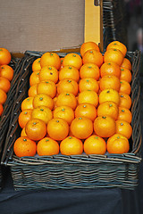 Image showing Oranges in Basket