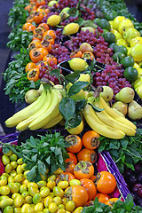 Image showing Fruits Market