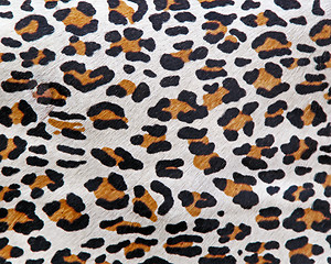 Image showing Leopard Pattern