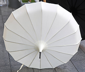 Image showing Parasol White