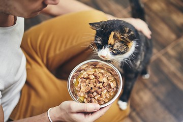 Image showing Domestic life with cat