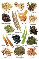 Image showing Adaptogen Herb Spice and Berry Fruit Selection 