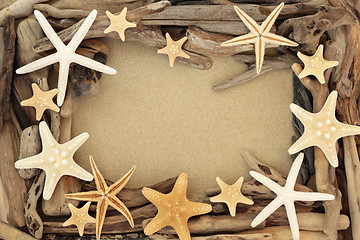 Image showing Driftwood and Starfish Seashell Abstract Background