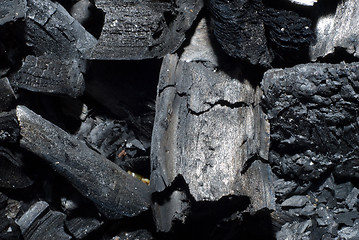 Image showing Charred Wood