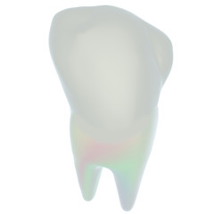 Image showing Tooth. 3d illustration