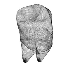 Image showing Mesh model of tooth. 3d illustration