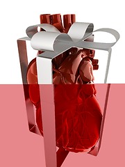 Image showing Red human heart with ribbon. Donor concept. 3d illustration