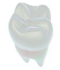 Image showing Tooth. 3d illustration