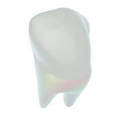 Image showing Tooth. 3d illustration