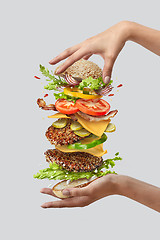 Image showing Girl\'s hands hold big tasty homemade burger with flying natutal ingredients on a white background. Copy space.