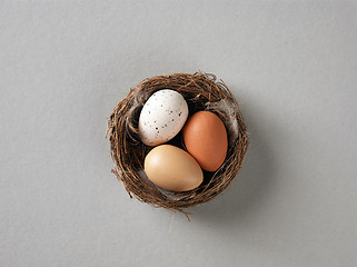 Image showing nest of easter eggs