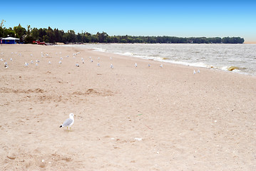Image showing Sandy Beach
