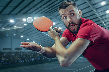 Image showing The table tennis player serving