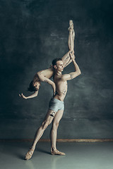 Image showing The young modern ballet dancers posing on gray studio background