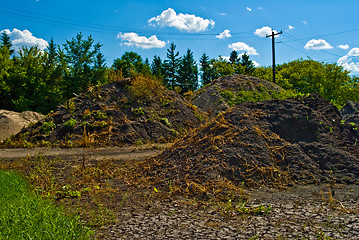 Image showing Soil Mounds