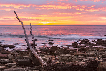 Image showing Sunrise skies and rocky coastline of Royal National Park