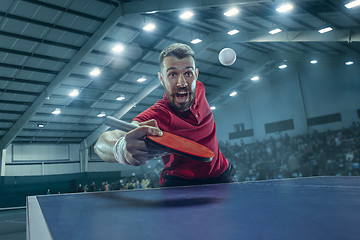 Image showing The table tennis player serving