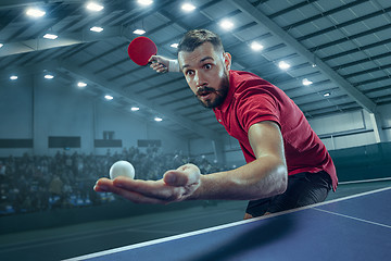 Image showing The table tennis player serving