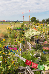 Image showing Urban gardening at Tempelhofer field, former airport in Berlin, Germany.