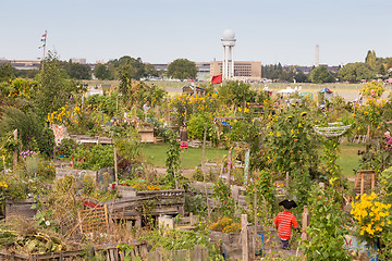 Image showing Urban gardening at Tempelhofer field, former airport in Berlin, Germany.