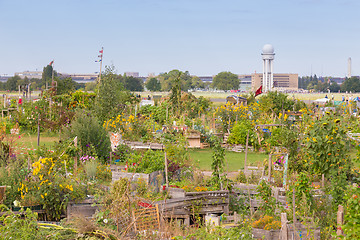 Image showing Urban gardening at Tempelhofer field, former airport in Berlin, Germany.