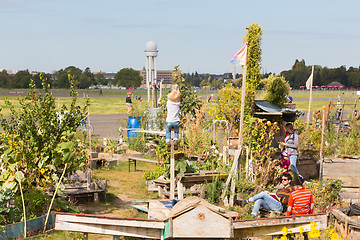 Image showing Urban gardening at Tempelhofer field, former airport in Berlin, Germany.