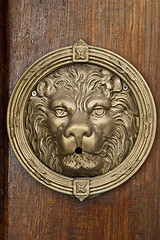 Image showing Ancient italian bronze lion on wooden brown background