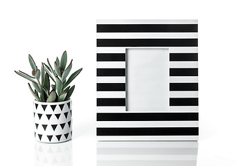 Image showing Panda plant and stylish striped picture frame