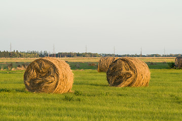 Image showing Hay Bale At Sunset