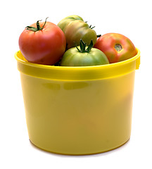 Image showing Picked Tomatoes