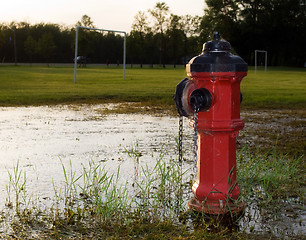 Image showing Morning Fire Hydrant