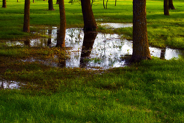 Image showing Wet Park