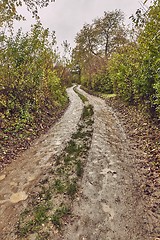 Image showing Dirtroad in the countryside