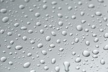 Image showing Shiny Water Droplets