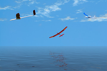 Image showing Leisurely Flight