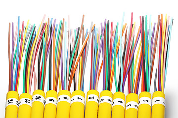 Image showing Fiber optical network cable close up