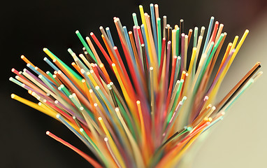 Image showing Fiber optical network cable close up