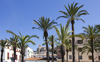 Image showing Ibiza town of Eivissa with the cathedral and old town