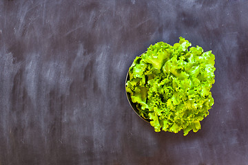 Image showing Fresh green lettuce salad in the bowl on black background. 