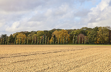 Image showing Plain Autumn Landscape