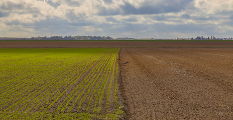 Image showing Cloudy Plain Landscape in Autumn