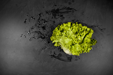 Image showing Fresh green wet lettuce salad on black background