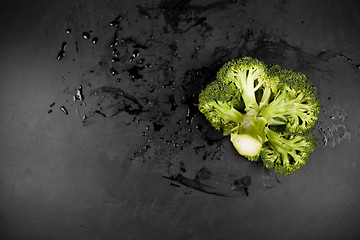 Image showing Fresh green wet broccoli on black background.