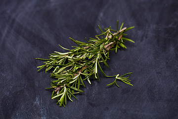 Image showing Fresh rosemary herb.