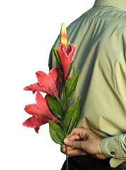 Image showing Hiding Flowers