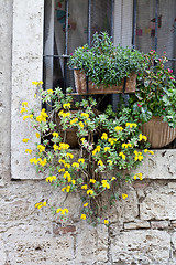 Image showing Italian window decorated with flowers.