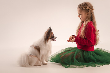 Image showing Studio portrait of a small yawning puppy Papillon