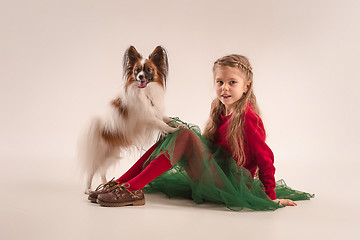 Image showing Studio portrait of a small yawning puppy Papillon